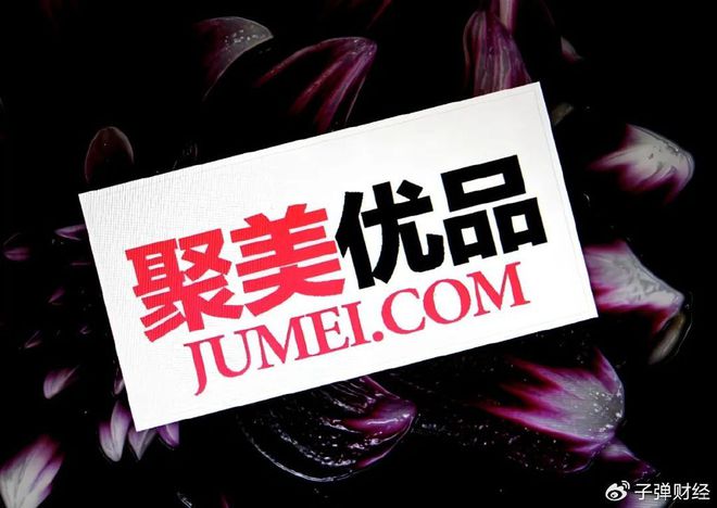 集体诉讼 投资人：管理层要肩负应有责任凯发k8入口怪兽充电低价私有化恐面临(图7)